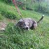 smileyface_12